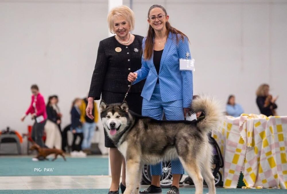 Jsme zpátky v&nbsp;kruhu!