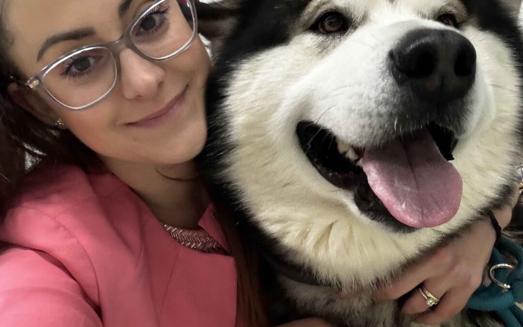 Nitradog Carnival Cup