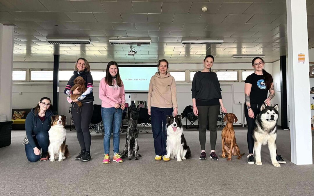 TDH Top dog handling workshop v&nbsp;Praze